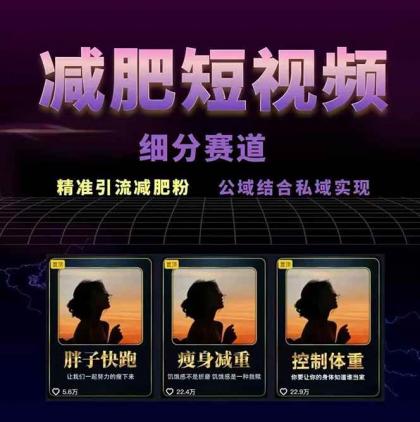 减肥短视频运营实战课：含素材制作、剪映教学，讲精准引流、变现设计与内容模板技巧-颜夕资源网-第20张图片