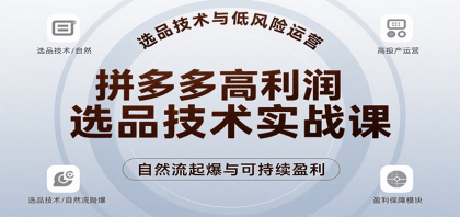 拼多多高利润选品技术实战课，手把手教学自然流高投产起爆，实现低风险可持续盈利-颜夕资源网-第19张图片