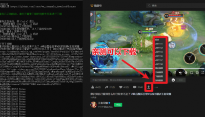 视频号下载器！支持直播回放下载，使用超简单，一键下载为MP4格式-颜夕资源网-第21张图片