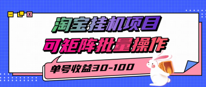 揭秘2025最新淘宝挂机项目，单号30-100，可矩阵批量操作（附工具）-颜夕资源网-第19张图片