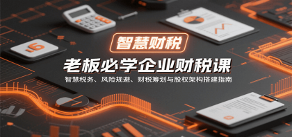 老板必学企业财税课：智慧税务、风险规避、财税筹划与股权架构搭建指南-颜夕资源网-第19张图片