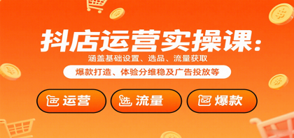 抖店运营实操课：涵盖基础设置、选品、流量获取、爆款打造、体验分维稳及广告投放等-颜夕资源网-第19张图片