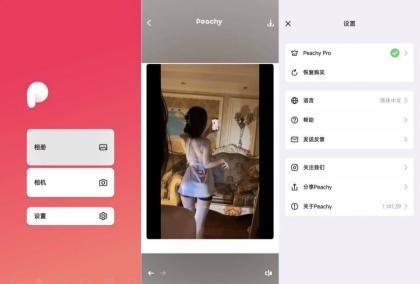 peachy抠图、P图、滤镜解锁会员版-颜夕资源网-第20张图片